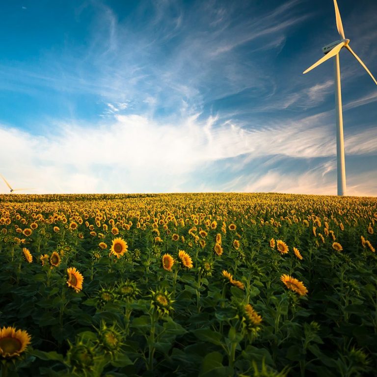 Environnement Contribuer à la protection de l’environnement par la réduction de l’empreinte carbone de l’entreprise.
